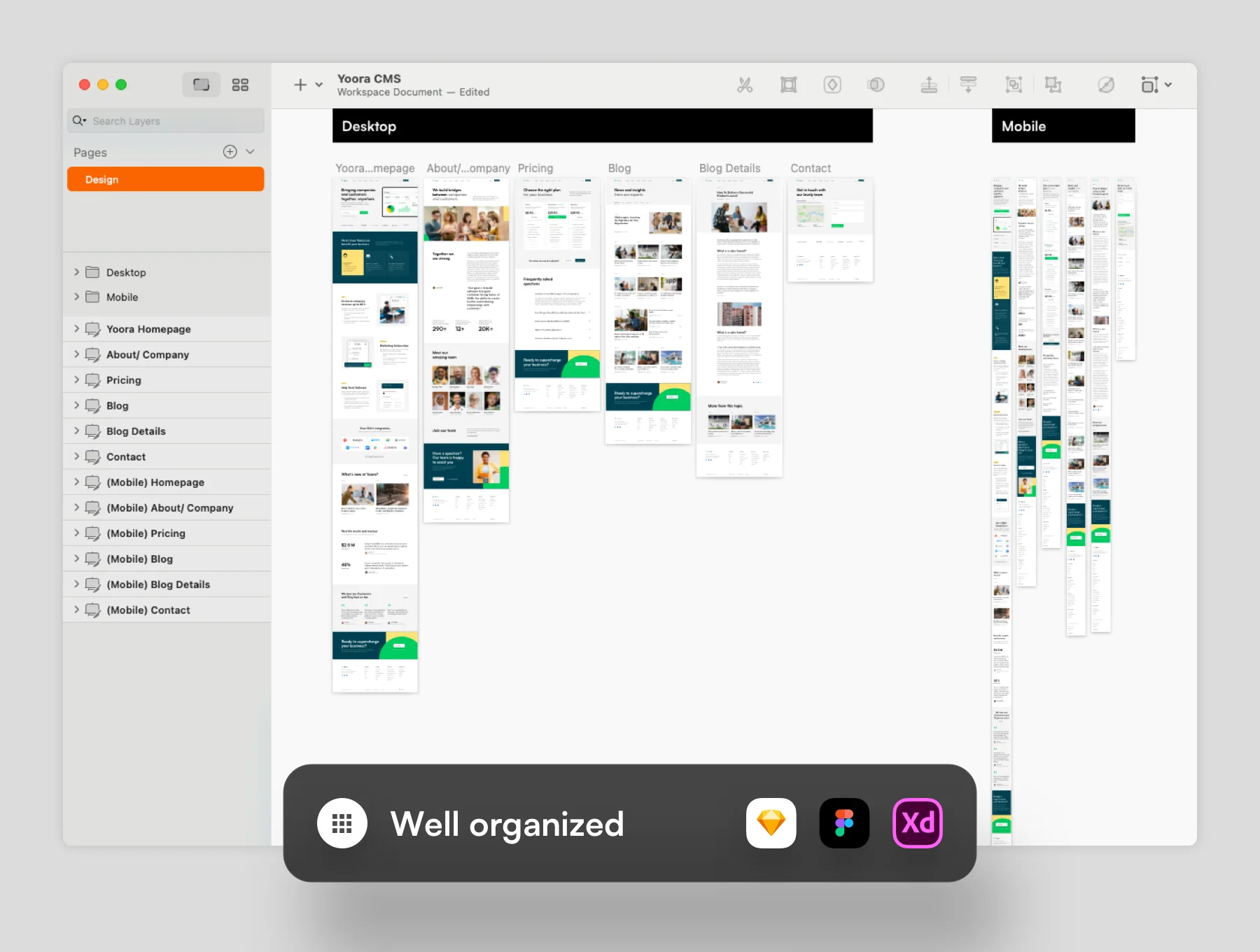 Yoora CMS Website Design Template 6