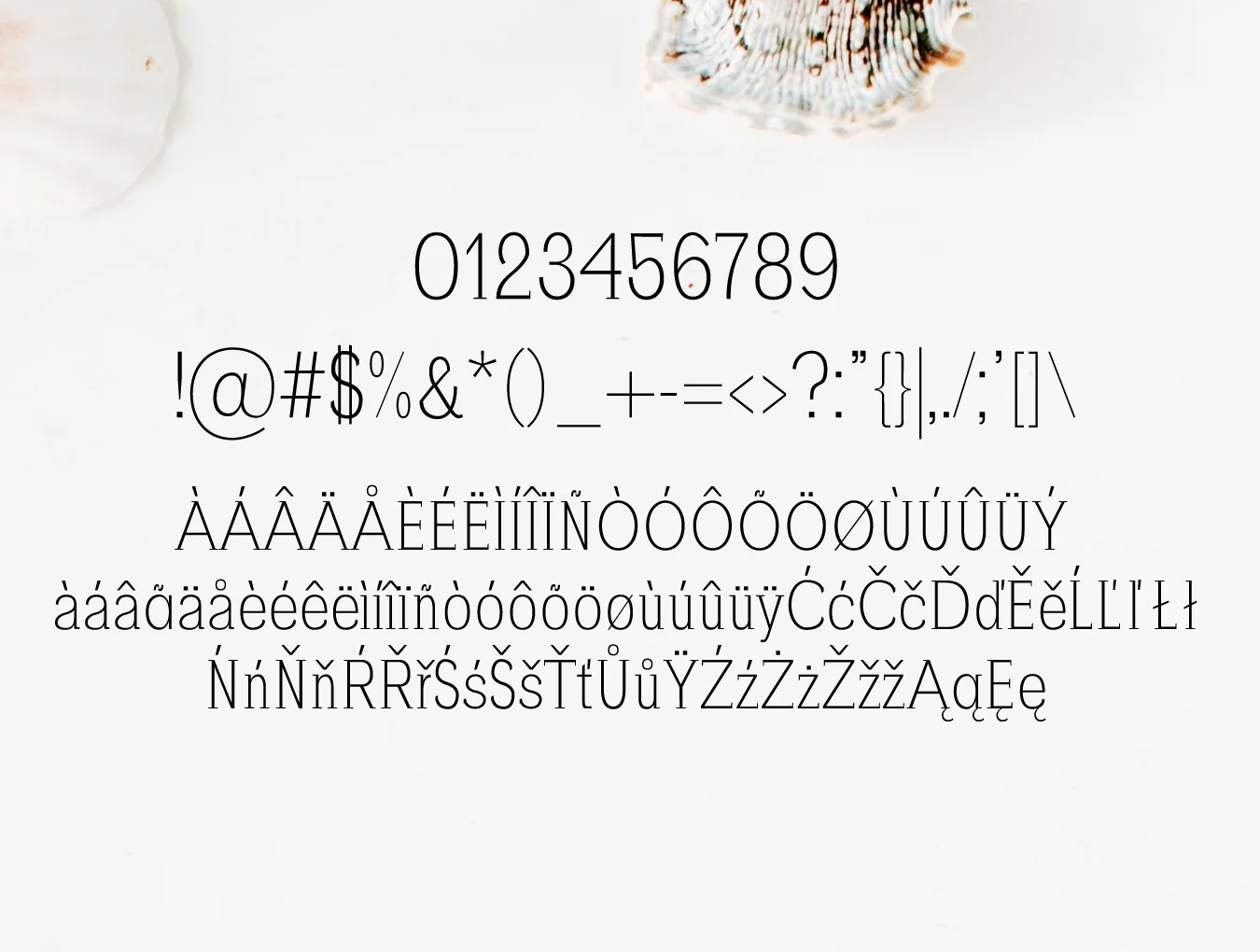 Zayley Serif Regular 3