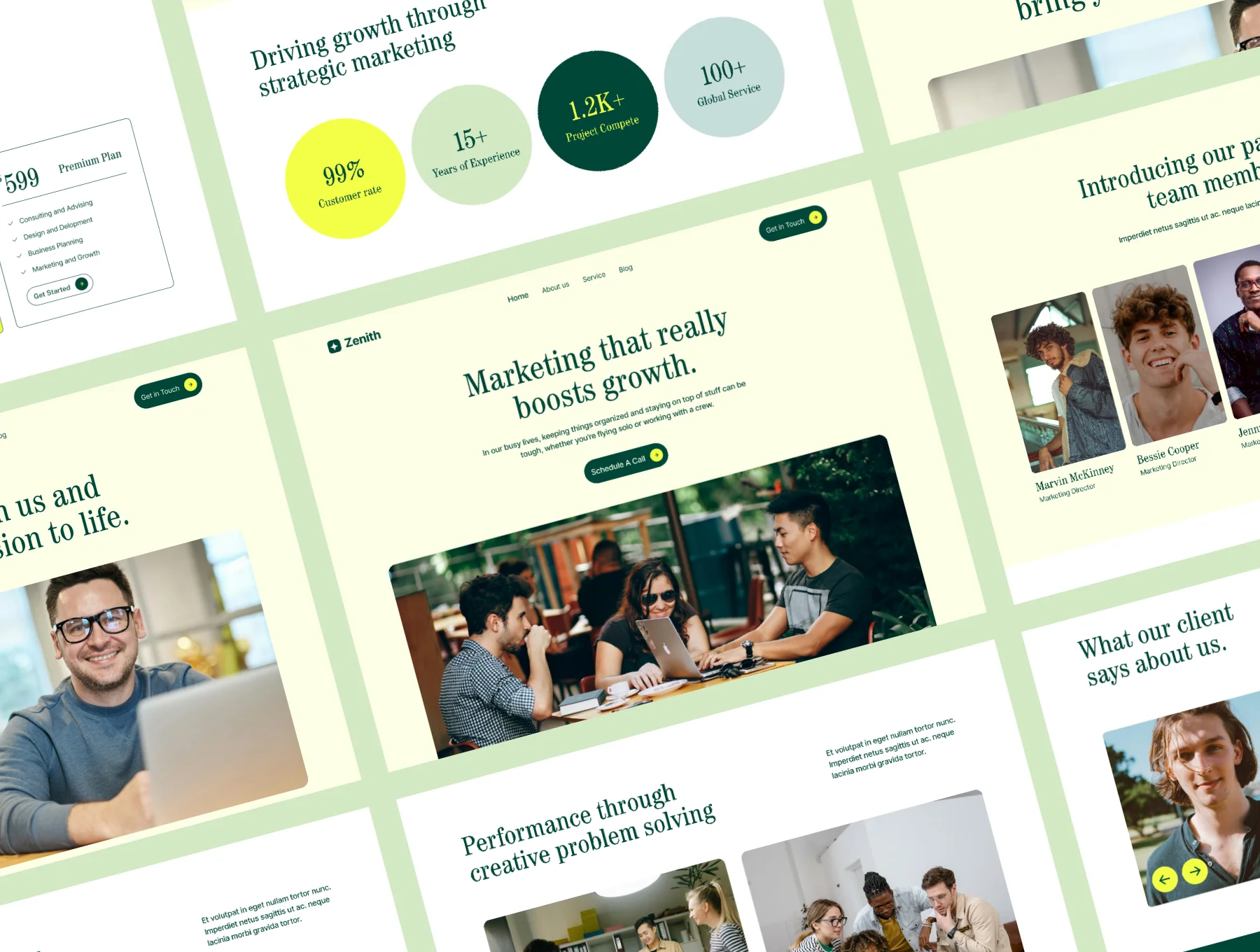 Zenith Marketing Agency Landing page 3
