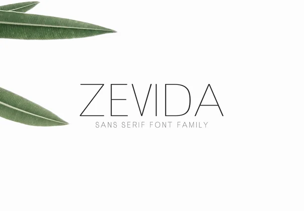 Zevida Sans Font