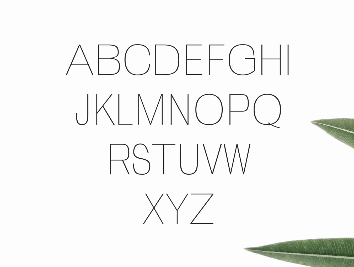 Zevida Sans Font 2