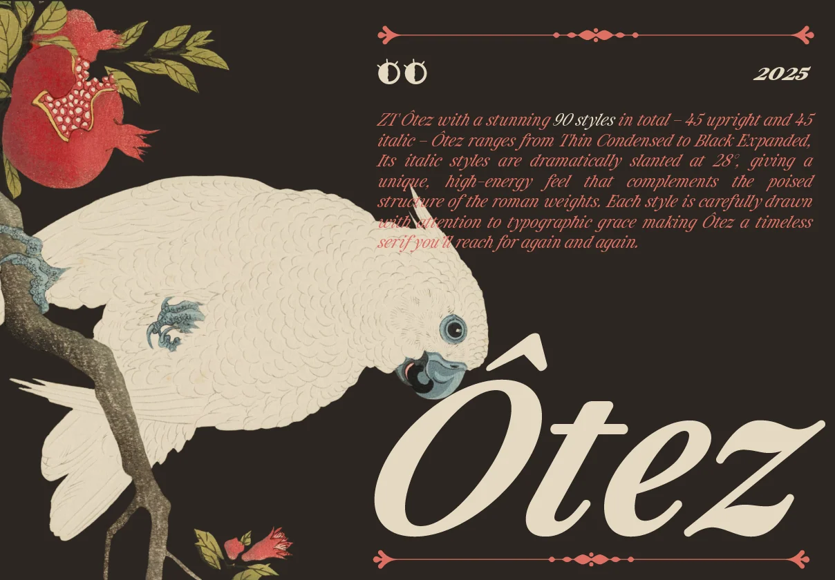ZT Otez