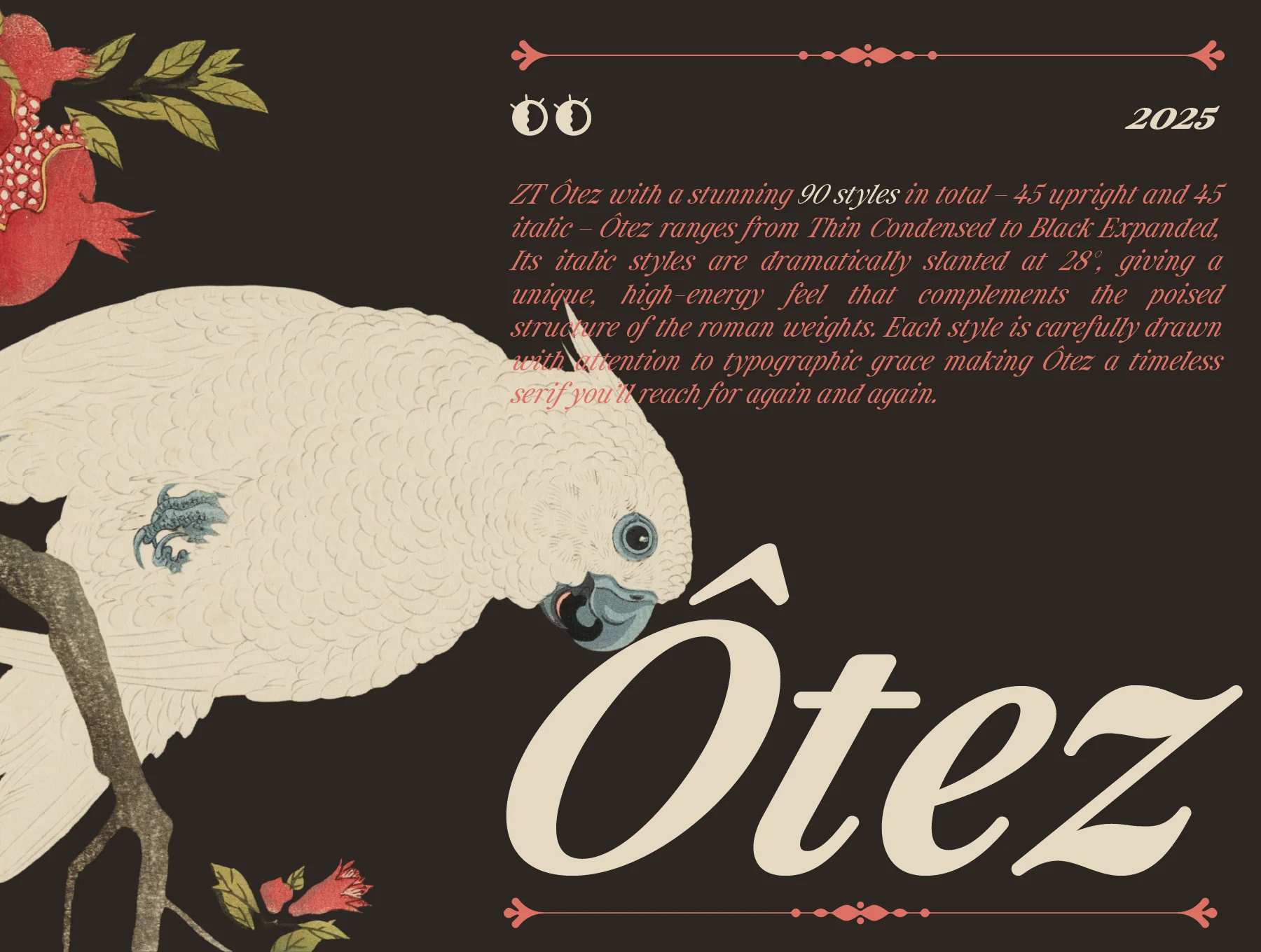 ZT Otez